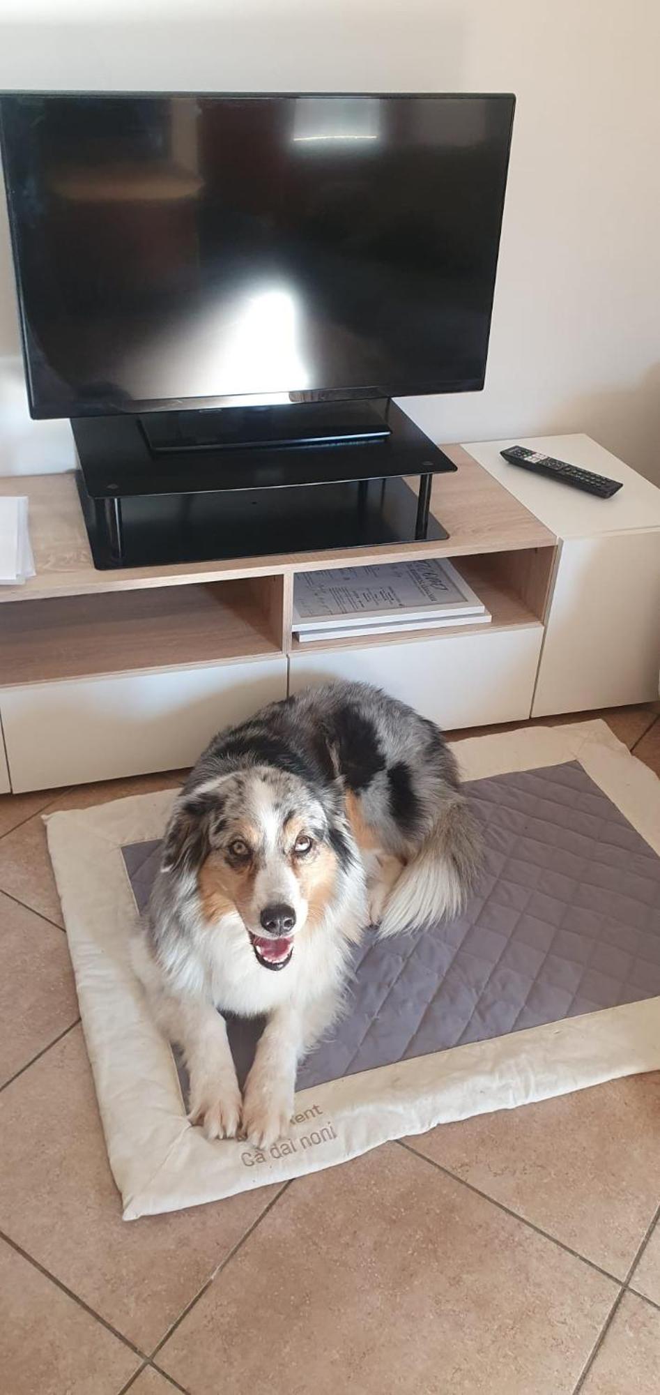 Apartment Ca Dai Noni Feriolo Экстерьер фото